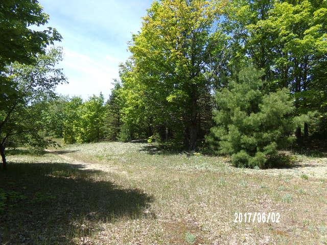 0 Viaduct Road Mesick, MI 49668 - Photo 14 of 19 1833252-13.JPG