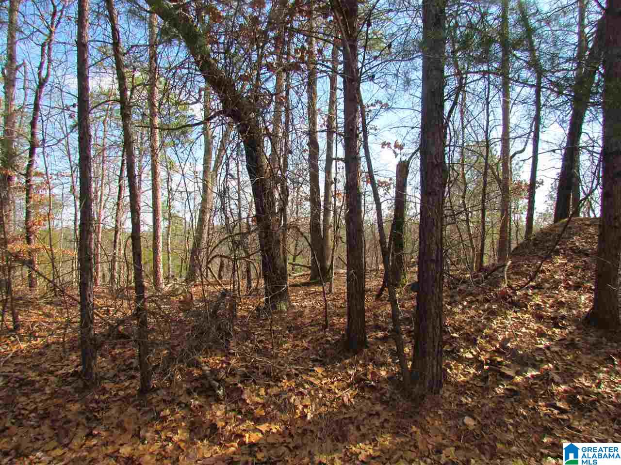 Kings Crest Lane, Unit 81 Pelham, AL 35124 - Photo 1 of 1