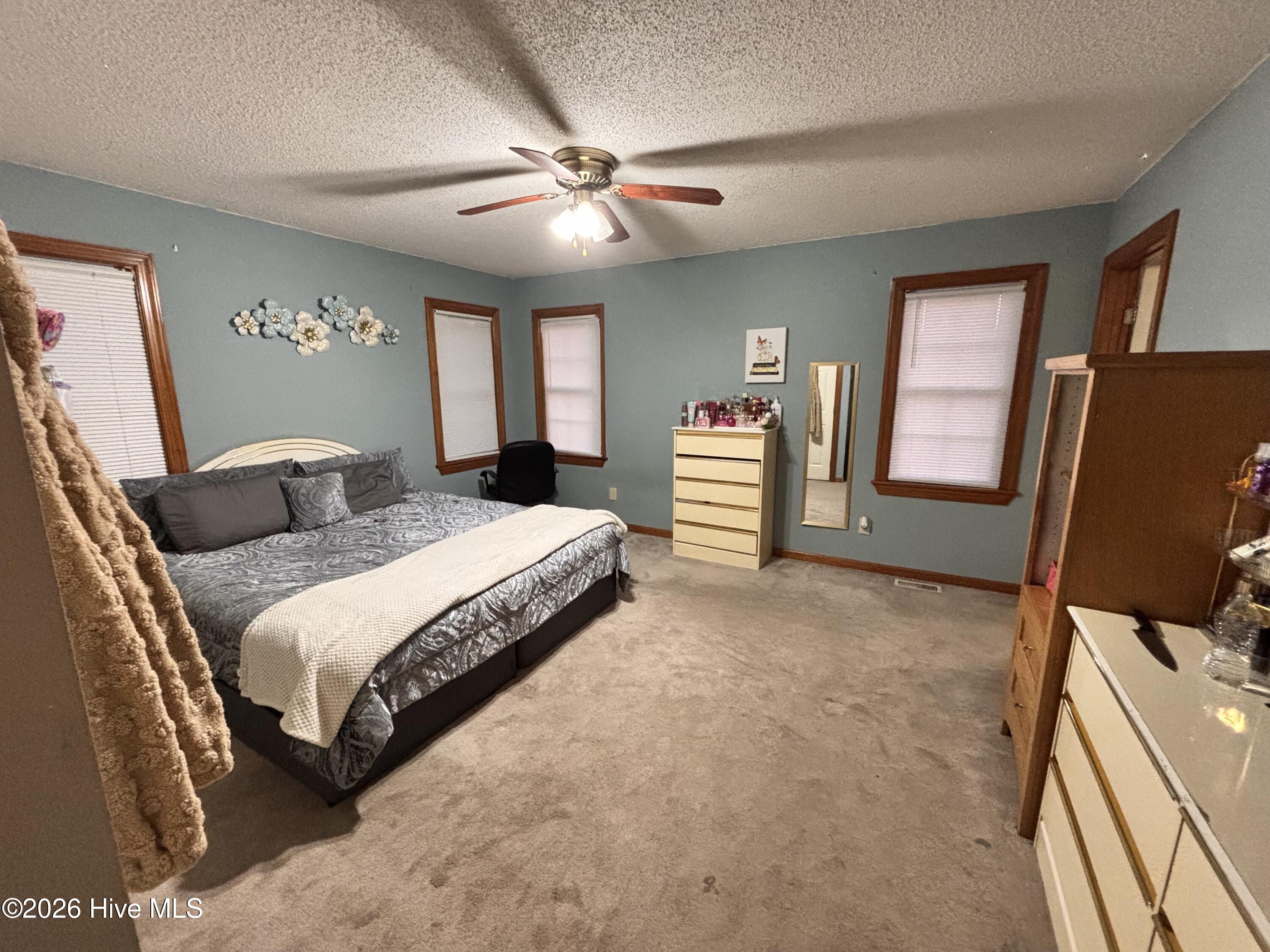 135 Halls Pond Road Rose Hill, NC 28458 - Photo 13 of 27 IMG_0818