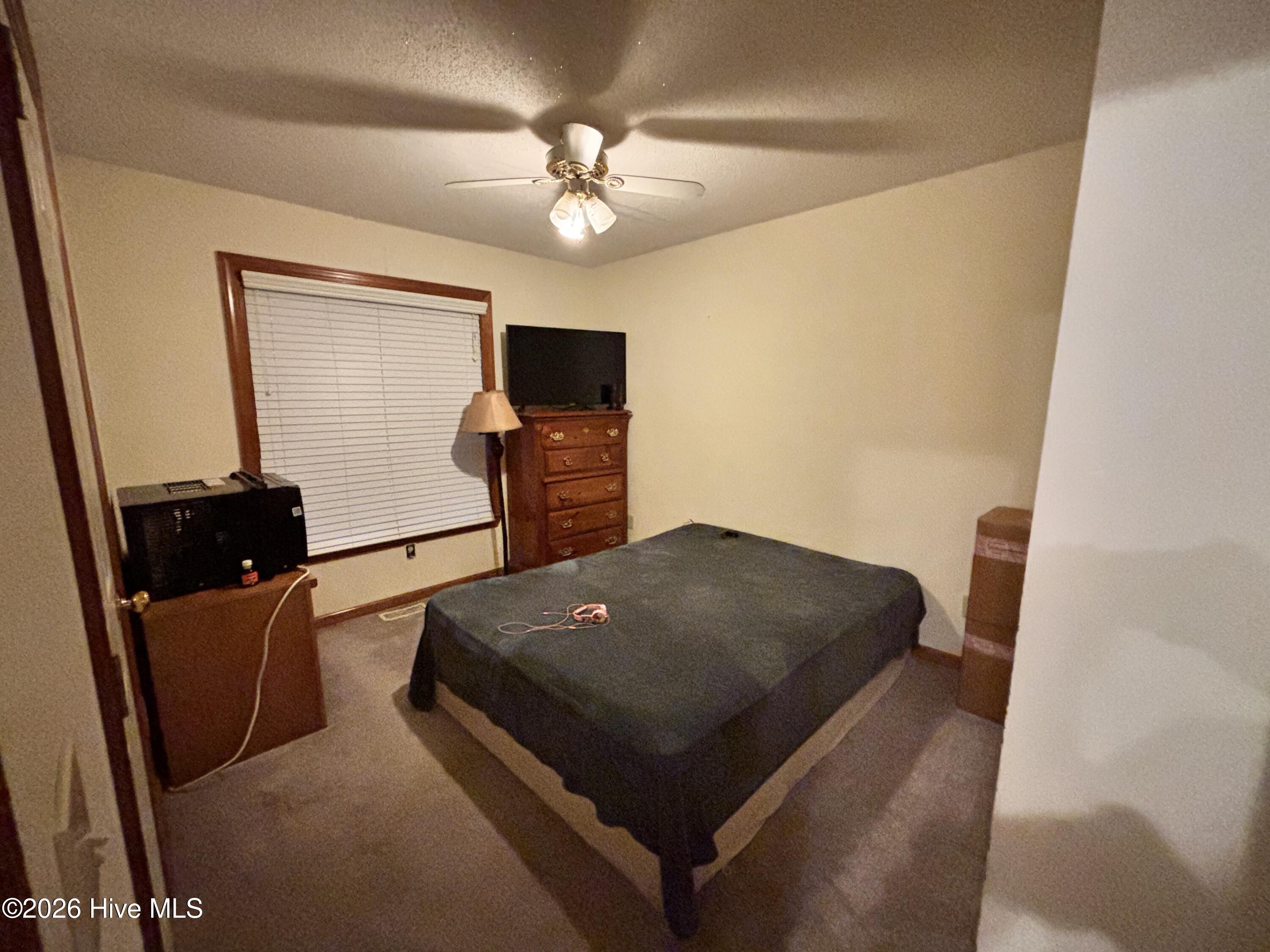 135 Halls Pond Road Rose Hill, NC 28458 - Photo 15 of 27 IMG_0820