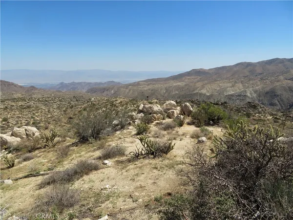 a view of a large mountain with lots of trees in the background