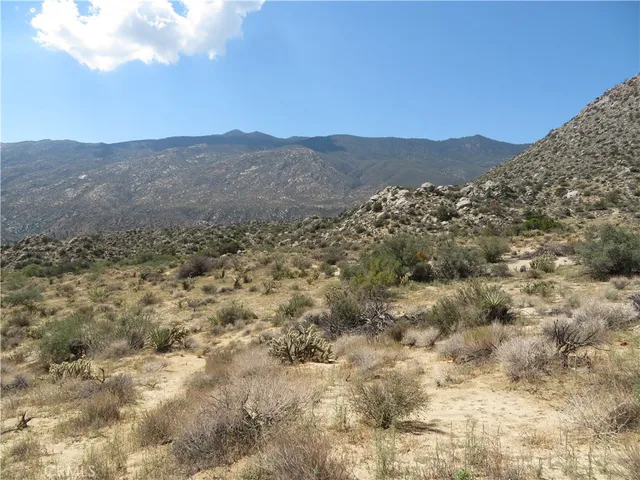 a view of a large tree in a field