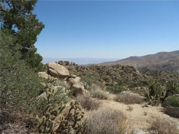 a view of a forest with mountains in the background