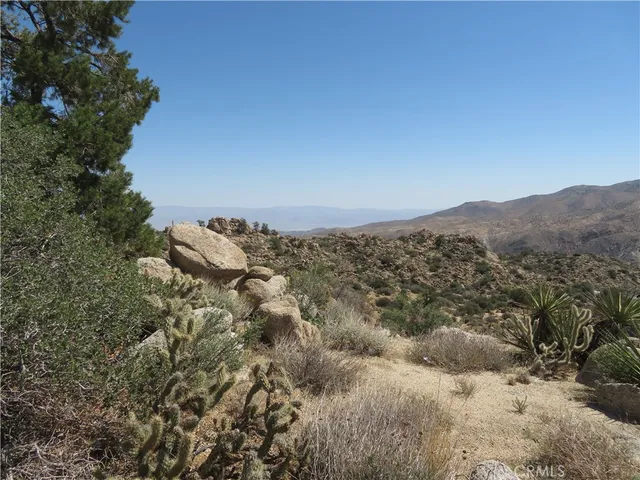 a view of a forest with mountains in the background