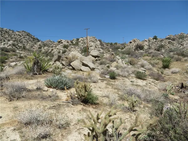 a view of a dry yard with mountains in the background