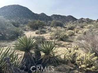 a view of a house with a mountain in the background