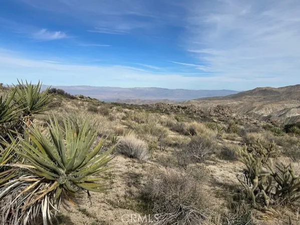 a view of a dry yard with wooden fence