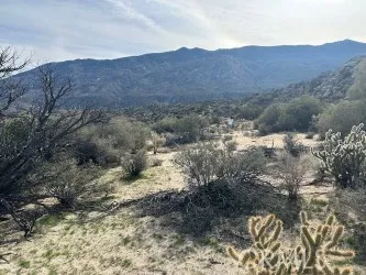 a view of a house with a mountain in the background