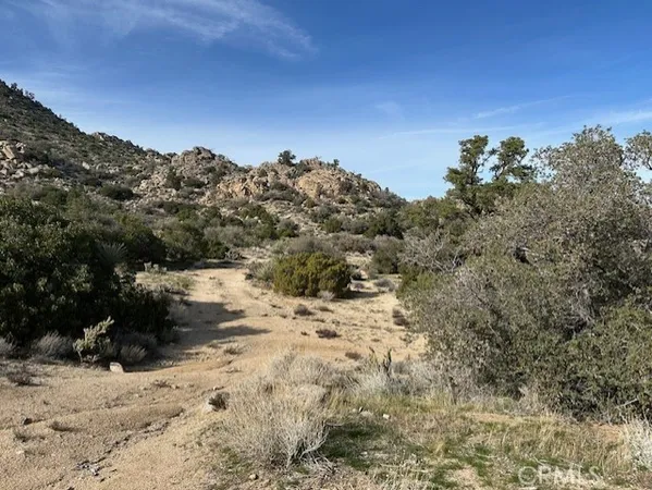 a view of a dry yard with wooden fence