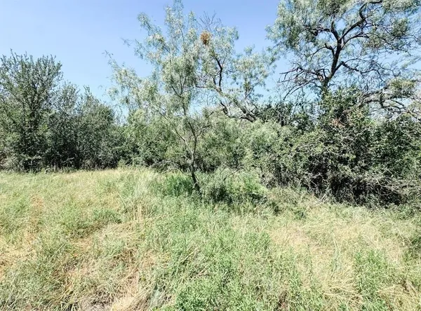 $206,885 | Lot 11 Morris Sheppard Drive, Brownwood, TX 76801