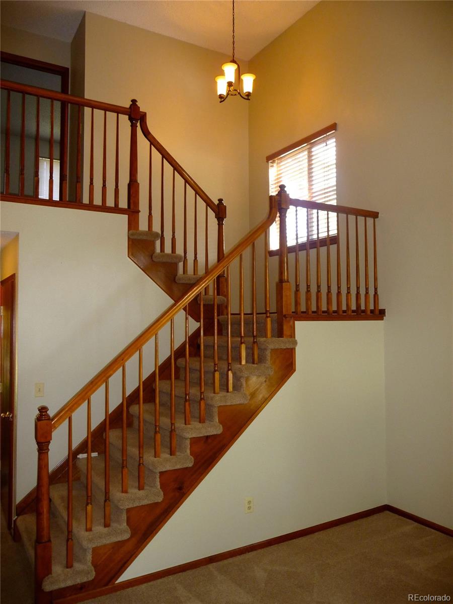 9502 Pinebrook Street Highlands Ranch, CO 80130 - Photo 4 of 24 Gallery Image 4