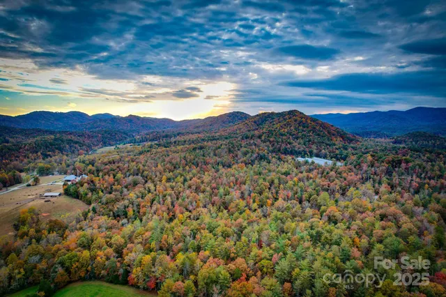 a view of a mountain in the distance in a field