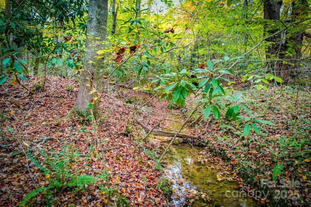 a view of a plant with a plant