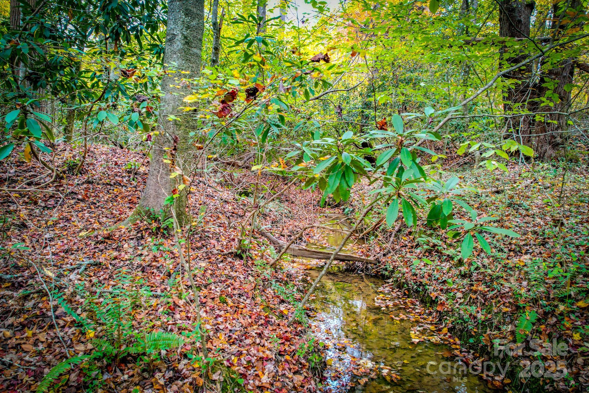 0 Grandin Road, Unit 3 Lenoir, NC 28645 - Photo 7 of 11 a view of a plant with a plant
