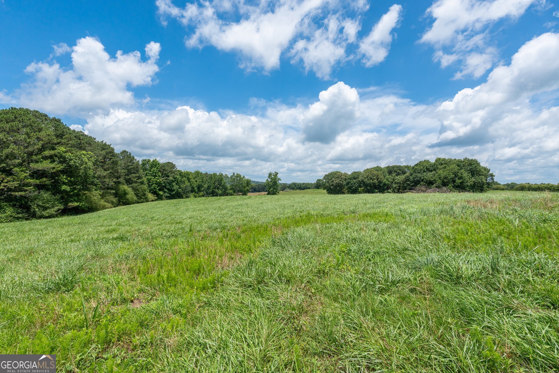 3710 Veal Road Roopville, GA 30170 - Photo 29 of 29