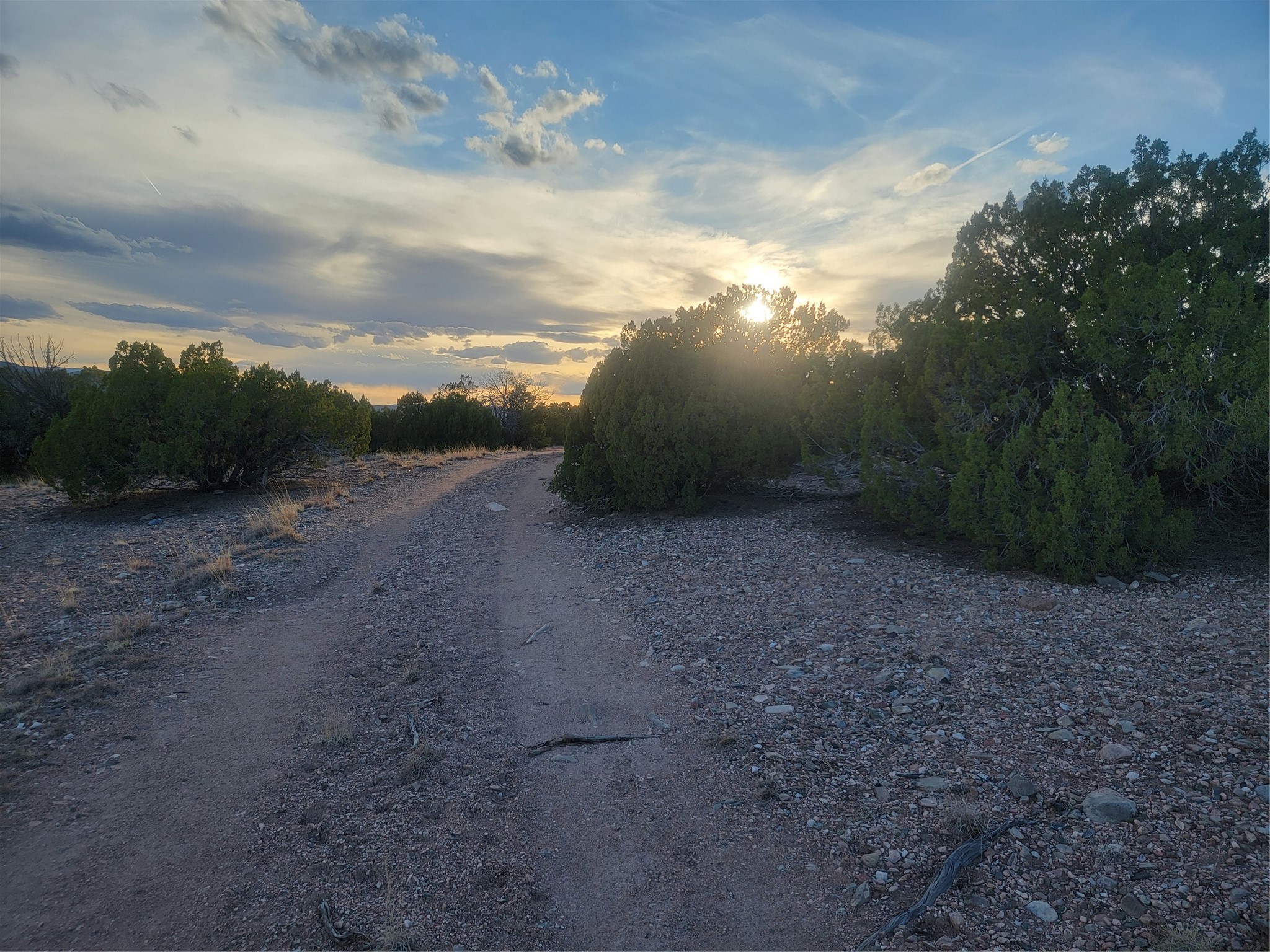 218 Horny Toad Road Cerrillos, NM 87010 - Photo 5 of 16