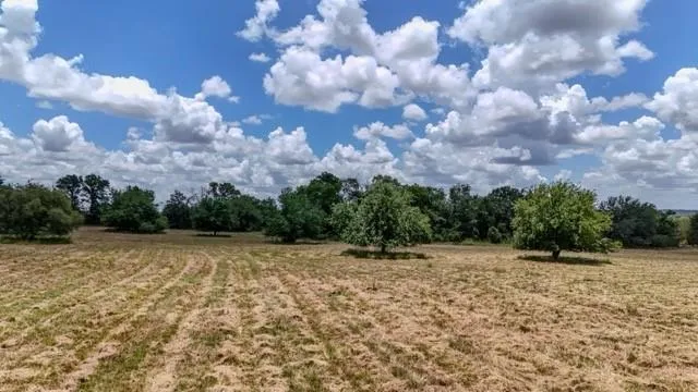 a view of a dry yard with trees in the background