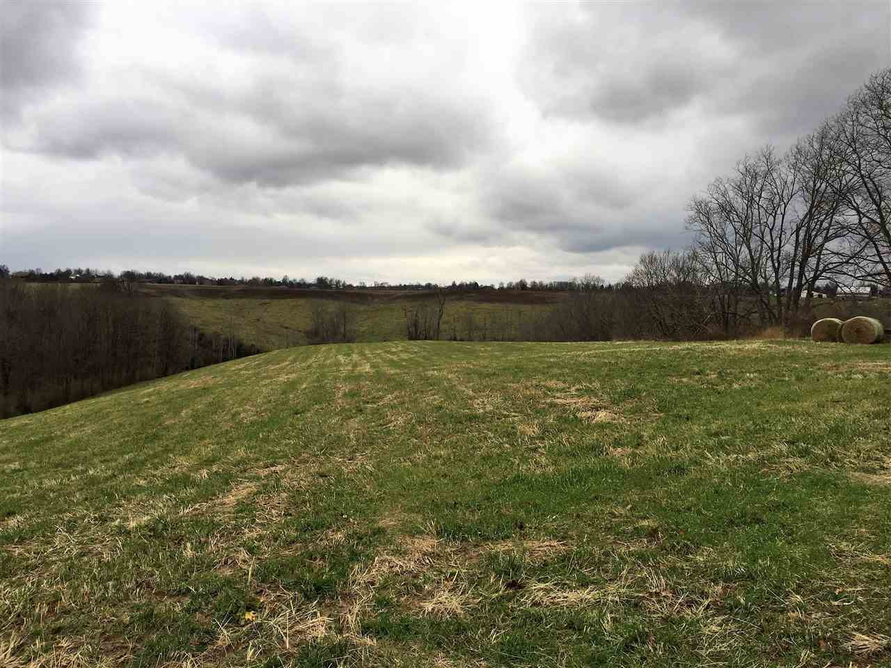 930 Curry Lane Dry Ridge, KY 41035 - Photo 2 of 9 Gallery Image 2