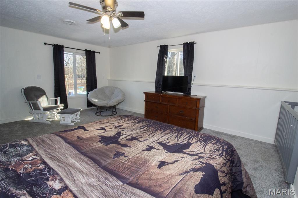 13949 Compton Road Dixon, MO 65459 - Photo 20 of 27