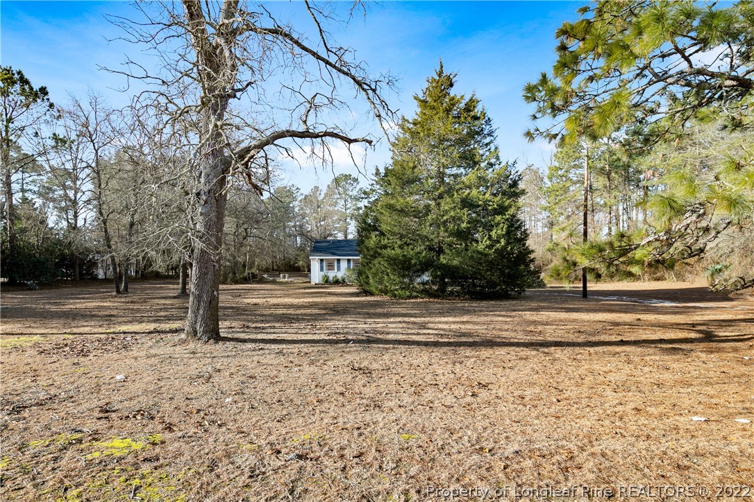 628 Tc Jones Road Raeford, NC 28376 - Photo 4 of 46 a view of park with tree
