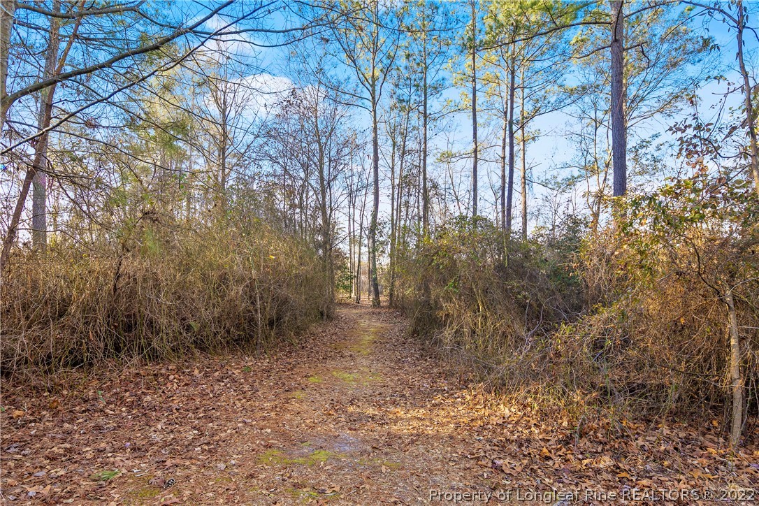 628 Tc Jones Road Raeford, NC 28376 - Photo 44 of 46 a view of a yard with plants and trees
