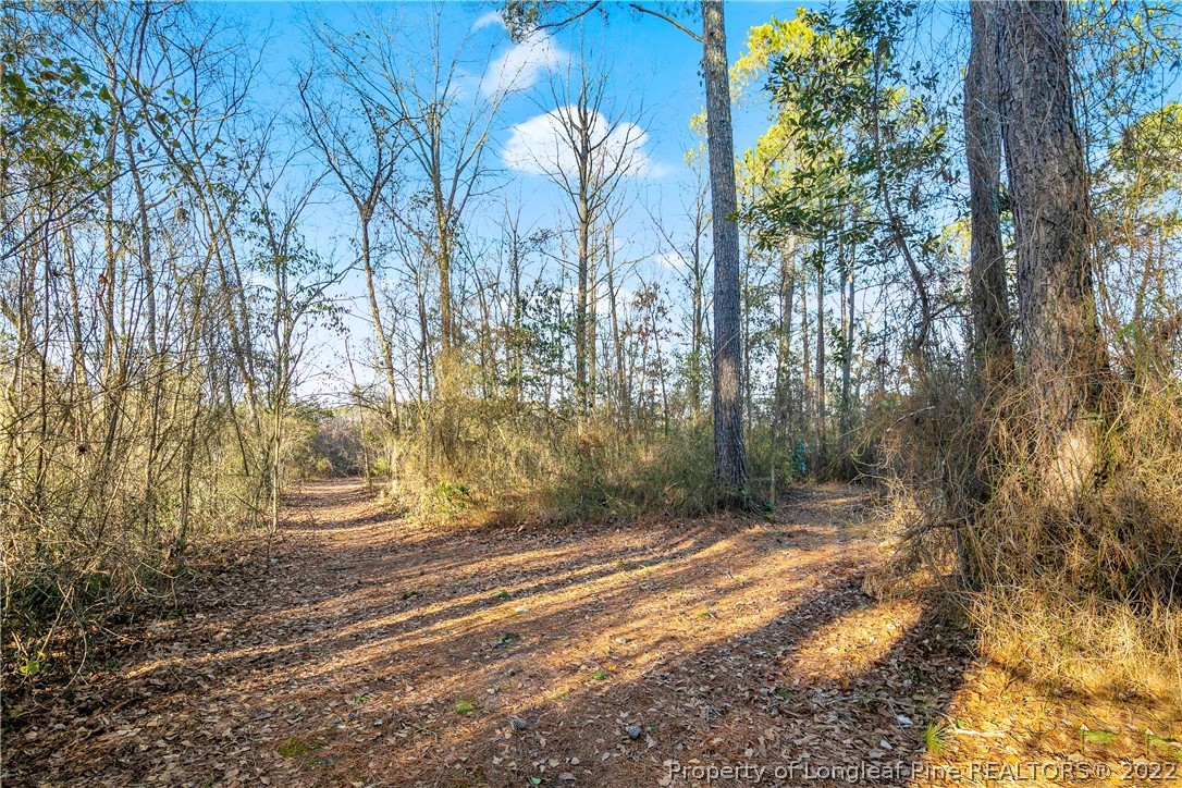 628 Tc Jones Road Raeford, NC 28376 - Photo 46 of 46 a backyard of a house with lots of green space