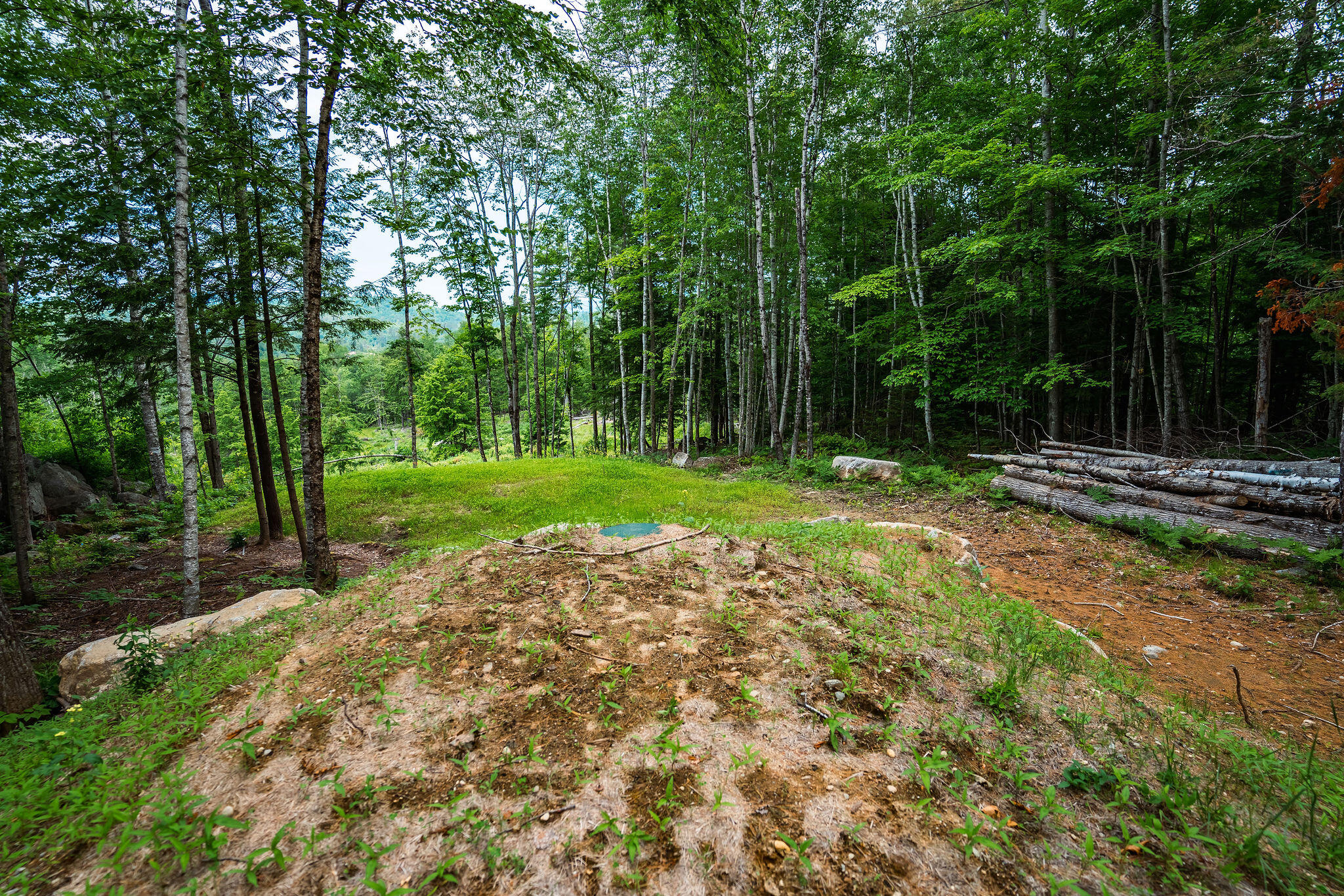 Lot 62 Bird Hill Road Bethel, ME 04217 - Photo 11 of 21 SOS04949-HDR