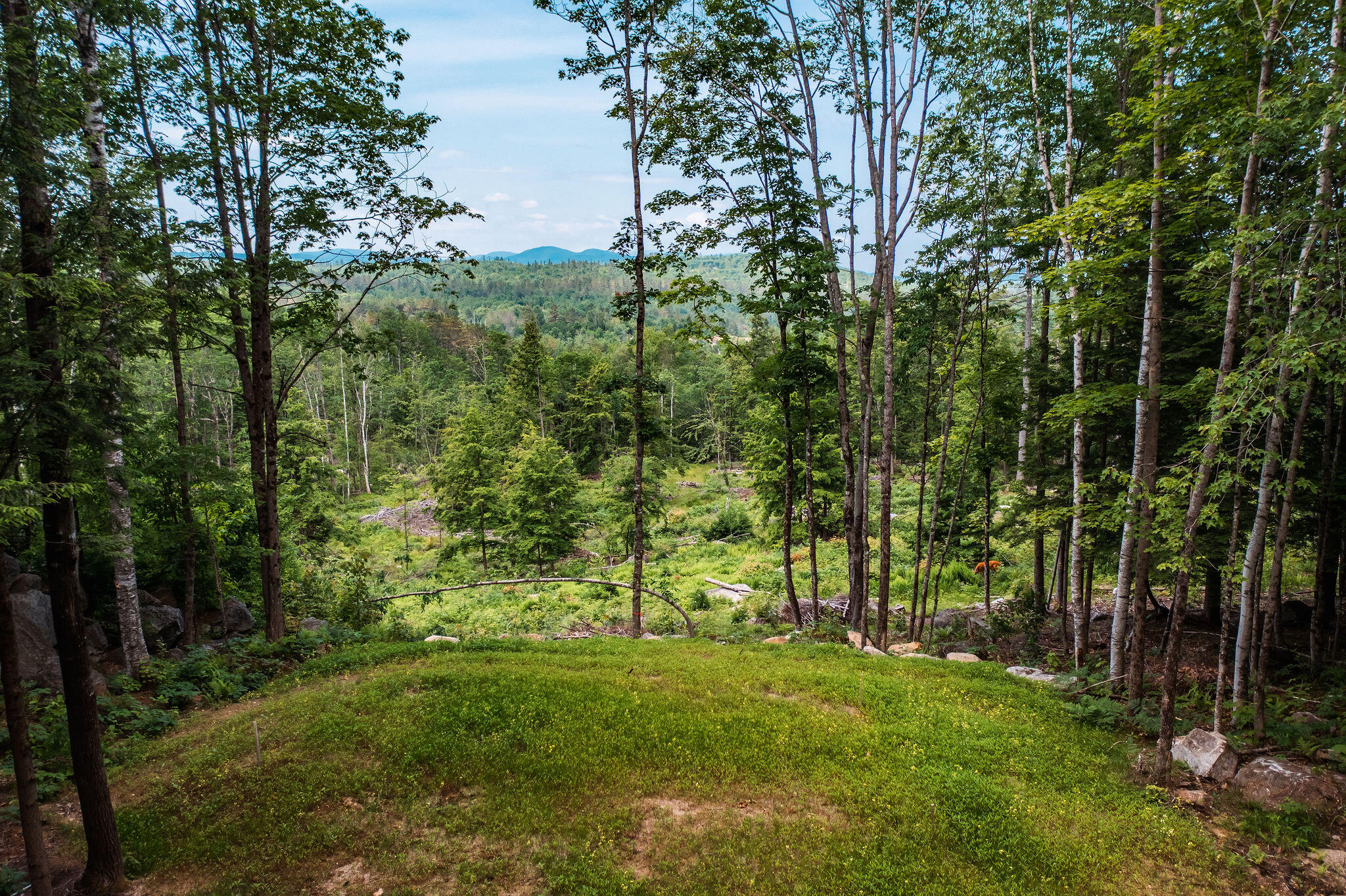 Lot 62 Bird Hill Road Bethel, ME 04217 - Photo 13 of 21 DJI_0179-HDR