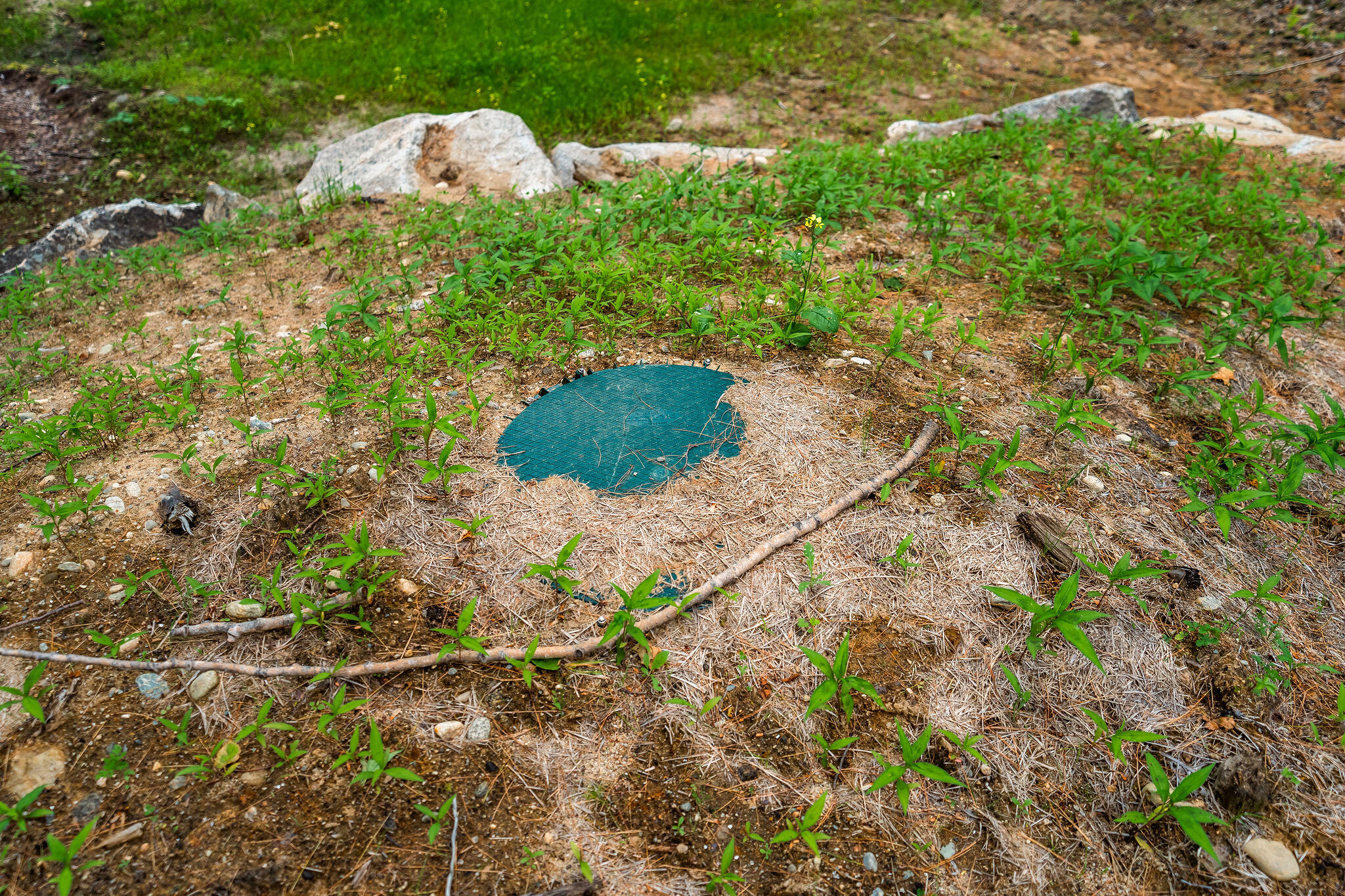 Lot 62 Bird Hill Road Bethel, ME 04217 - Photo 16 of 21 SOS04944-HDR