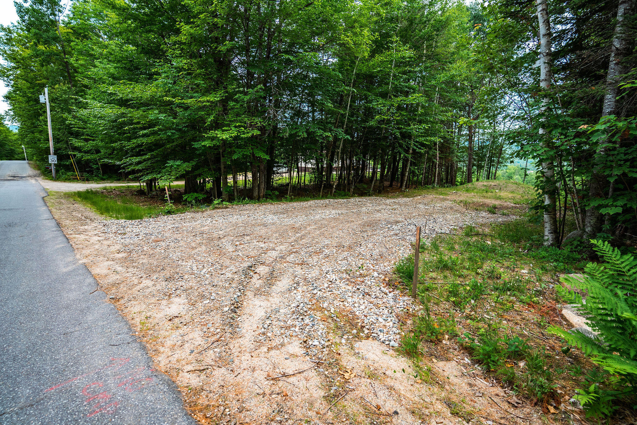 Lot 62 Bird Hill Road Bethel, ME 04217 - Photo 2 of 21 SOS04939-HDR