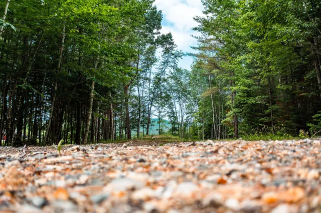 $109,000 | Lot 62 Bird Hill Road, Bethel, ME 04217