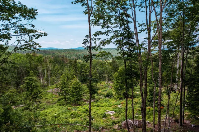 $109,000 | Lot 62 Bird Hill Road, Bethel, ME 04217