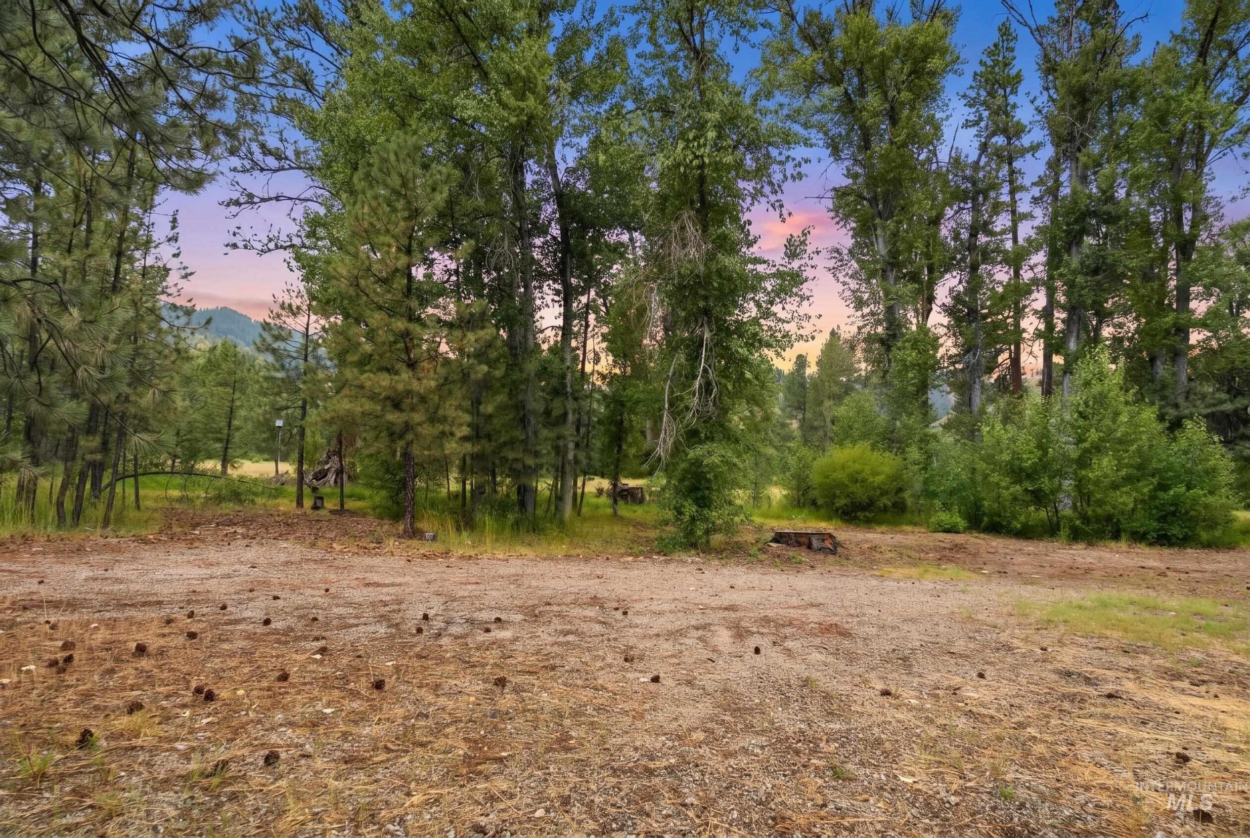 3980 North Pine-Featherville Road Mountain Home, ID 83647 - Photo 10 of 35 Wooded property featuring mature trees and natural ground cover
