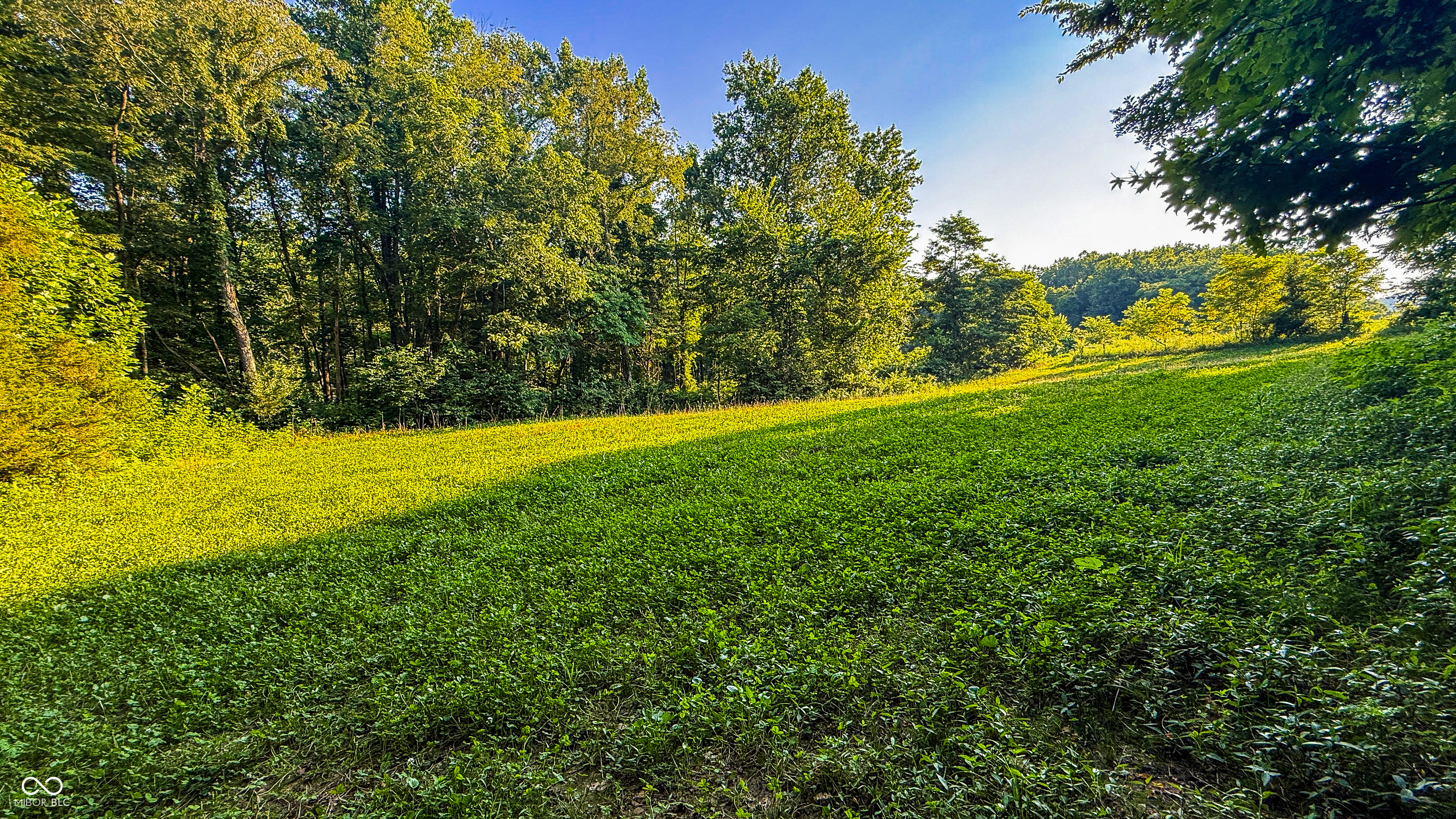 2297 West Popcorn Road Springville, IN 47462 - Photo 55 of 66 Gallery Image 55