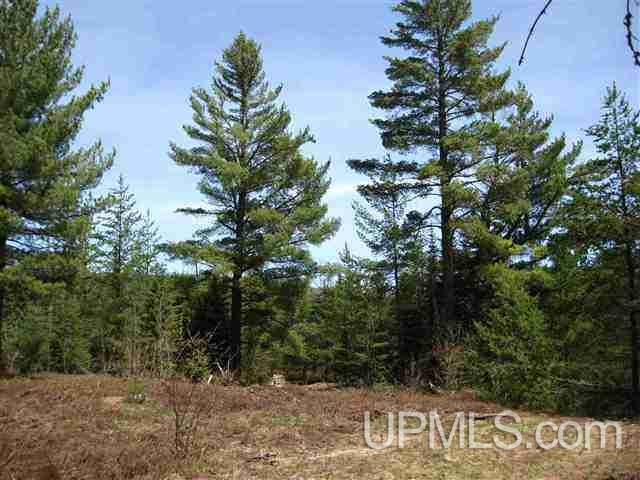Tbd Red Road, Unit PARCEL 3 Michigamme, MI 49814 - Photo 3 of 6 Gallery Image 3
