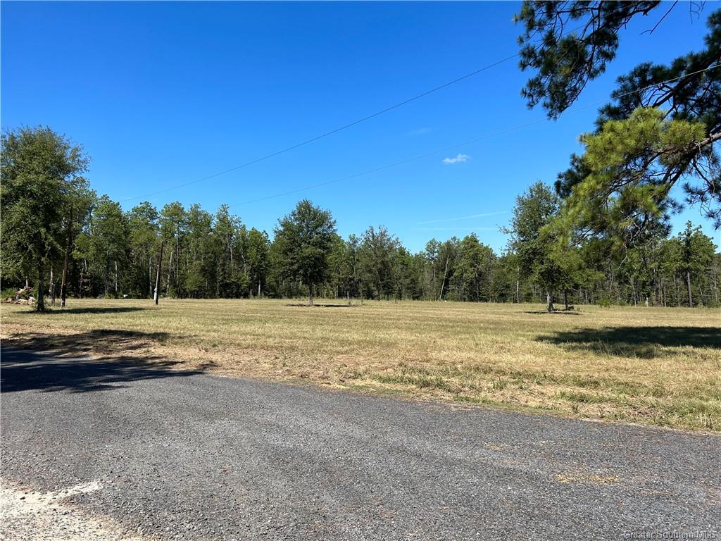 375 Burnett Road Ragley, LA 70657 - Photo 3 of 6