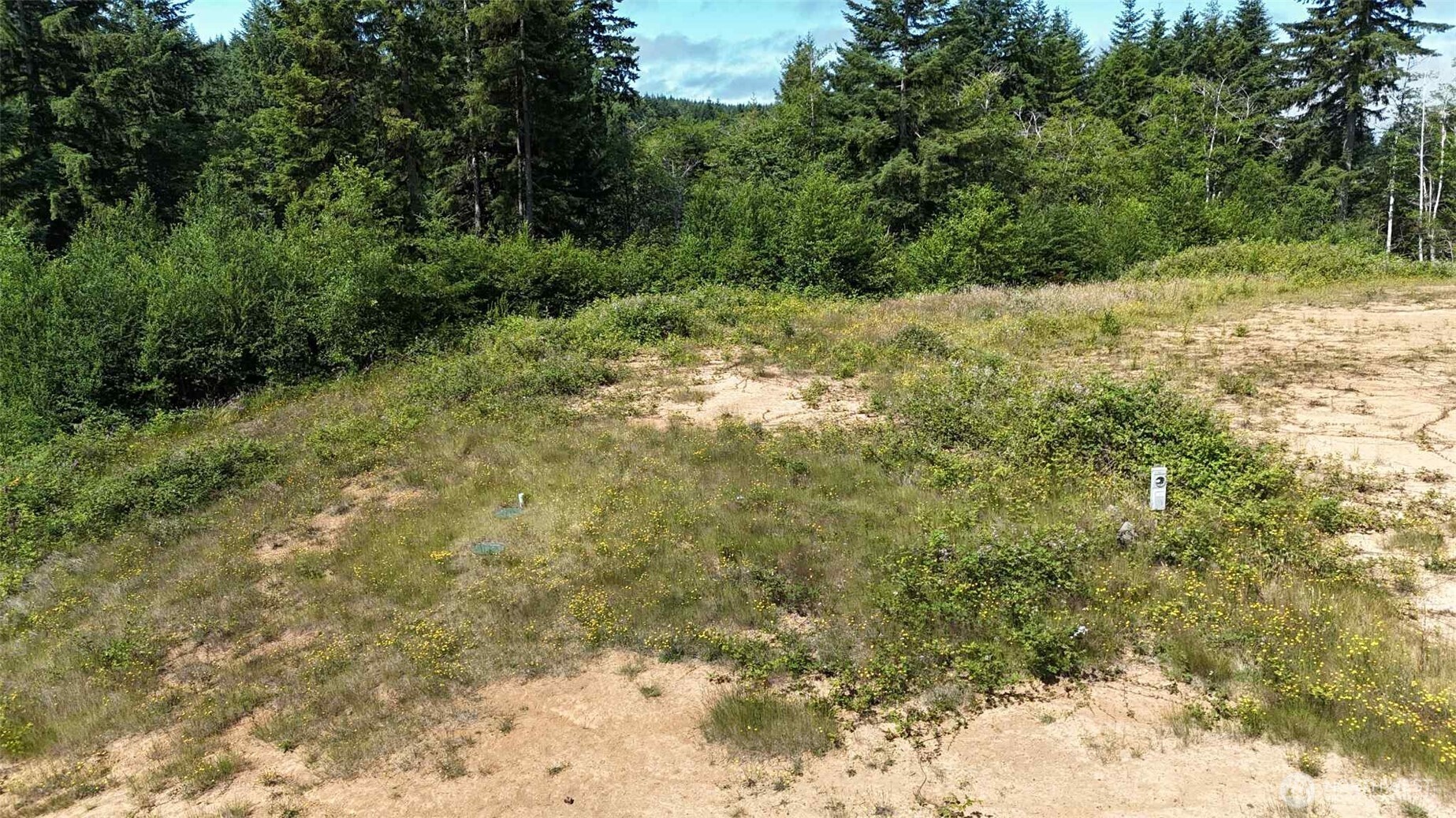 125 Remmen Road Elma, WA 98541 - Photo 10 of 18 Gallery Image 10