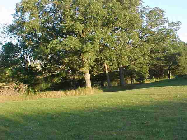 12921 West Yess Road Princeville, IL 61559 - Photo 7 of 7 Gallery Image 7