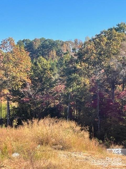 6838 Forney Hill Road Denver, NC 28037 - Photo 1 of 2 Gallery Image 1