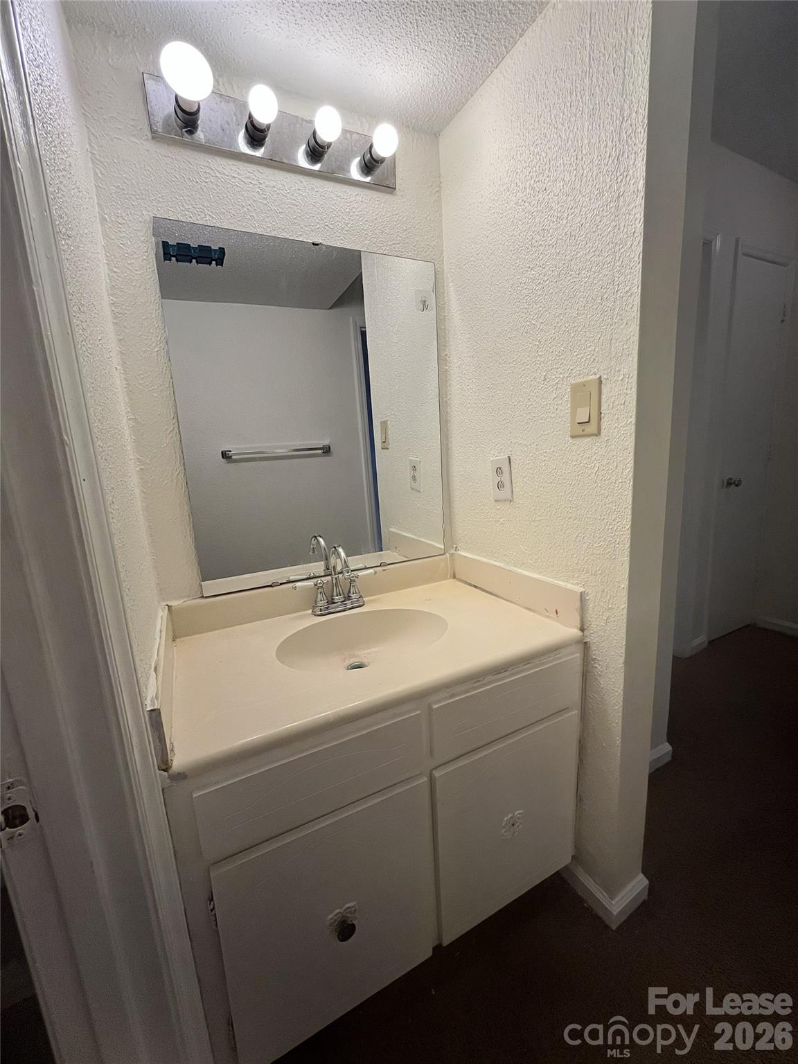1911 Smoke Ridge Court, Unit 5 Charlotte, NC 28210 - Photo 14 of 16 a bathroom with a sink vanity and mirror