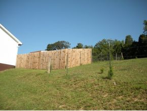 804 Church Road Fall Branch, TN 37656 - Photo 4 of 5 Photo 4