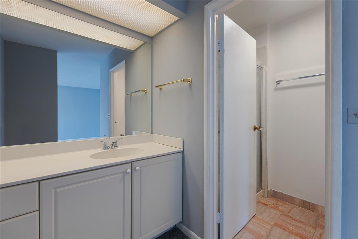 246 Monroe Road Bolingbrook, IL 60440 - Photo 17 of 32 a bathroom with a sink and a mirror