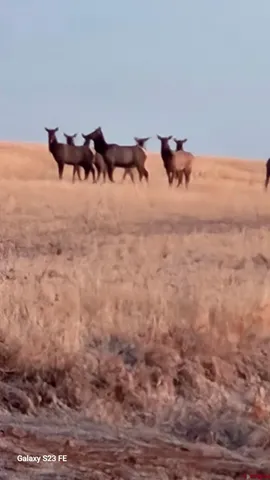 a close up of a couch in a of a room