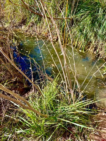 $972,000 | 0 Cr K Road, Unit CROSS CREEK CANYON RANCH, Dove Creek, CO 81324