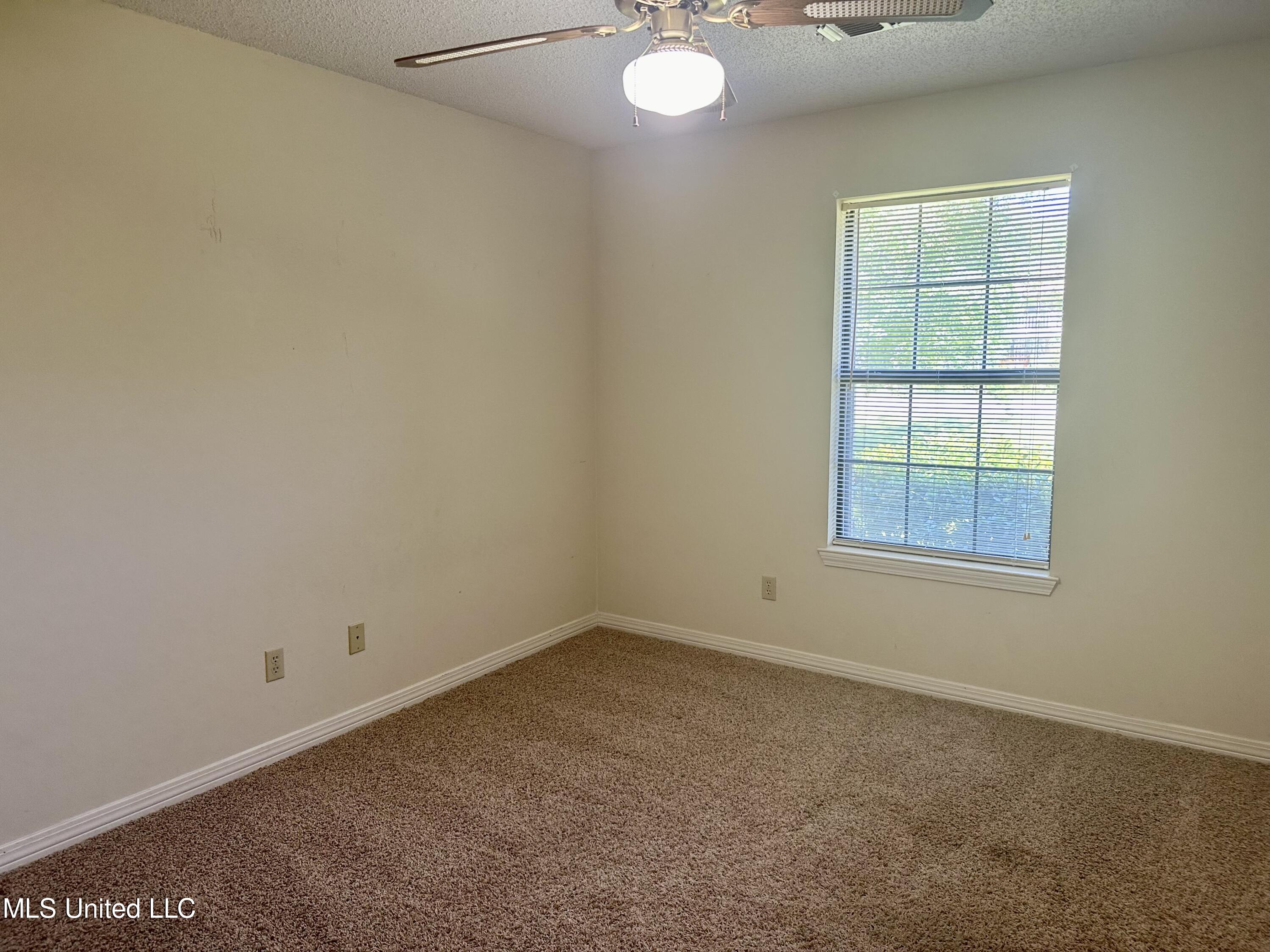 205 Ridgeview Drive Carriere, MS 39426 - Photo 16 of 21 IMG_9004