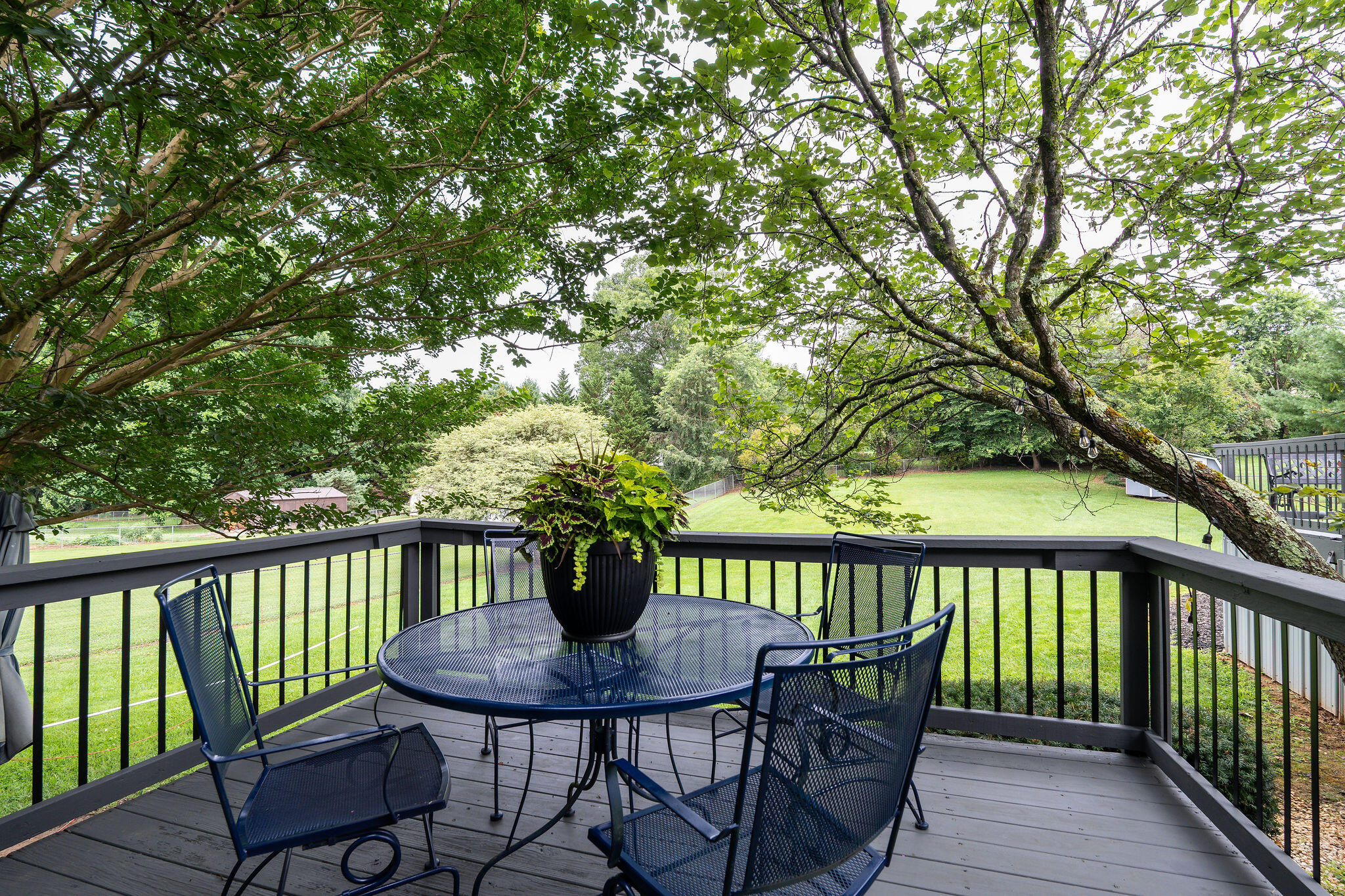 715 Old Embreeville Road Jonesborough, TN 37659 - Photo 20 of 64 DSC02622