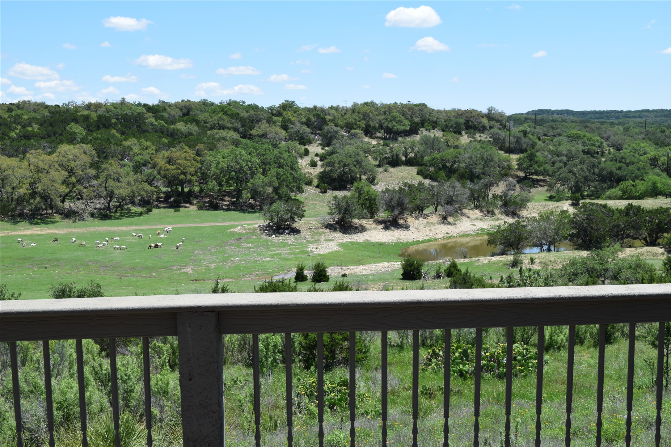 570 Copper Rim Spring Branch, TX 78070 - Photo 4 of 26