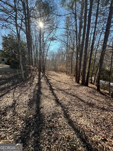 a view of a yard with trees