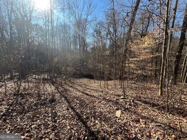a view of a yard with a tree