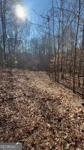 $79,999 | 213 St Andrews Court, McDonough, GA 30253